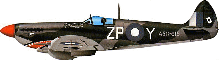 Spitfire Mk VIII flown by Wing Commander Glenn Cooper of 457 Squadron Royal Australian Air Force - South-West Pacific Forces