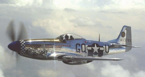 P-51 Mustang WWII Warbird